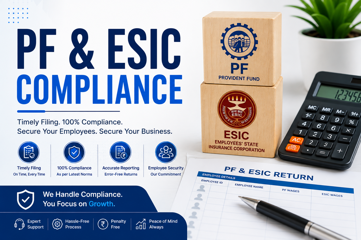 PF & ESIC Consultant  Services